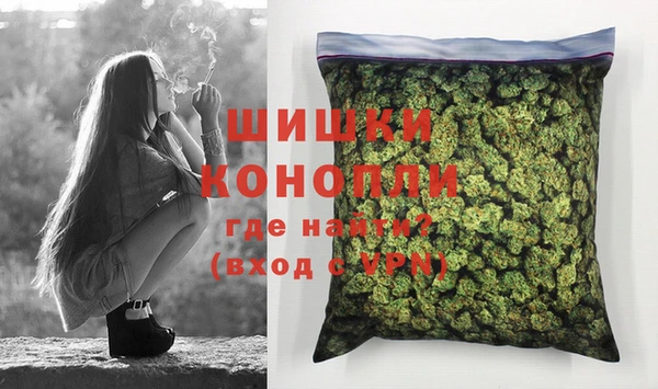 гидра Новозыбков