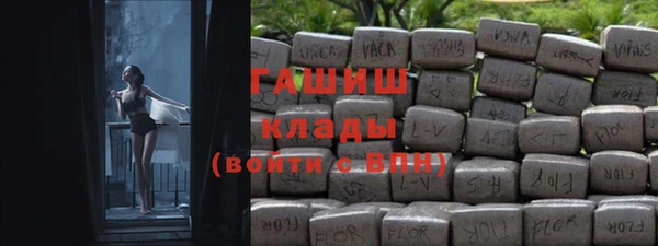 гидра Новозыбков