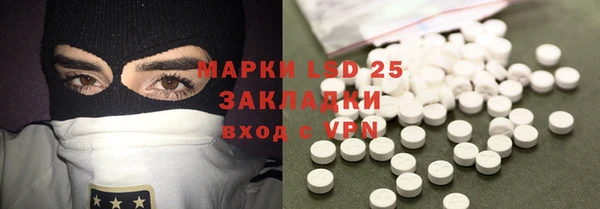 гидра Новозыбков
