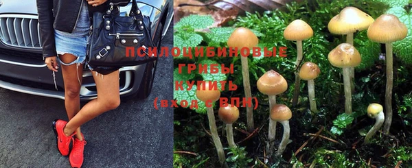 гидра Новозыбков