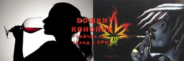 гидра Новозыбков