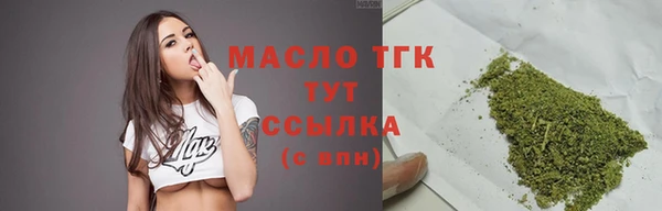 гидра Новозыбков