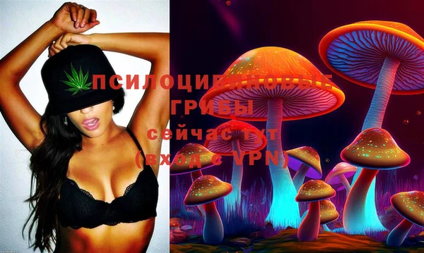 PSILOCYBIN Новокубанск