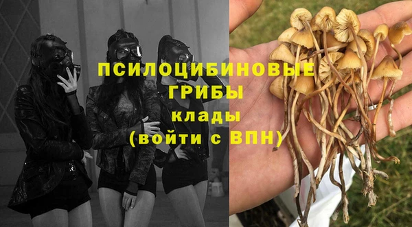 эйфоретик Новодвинск