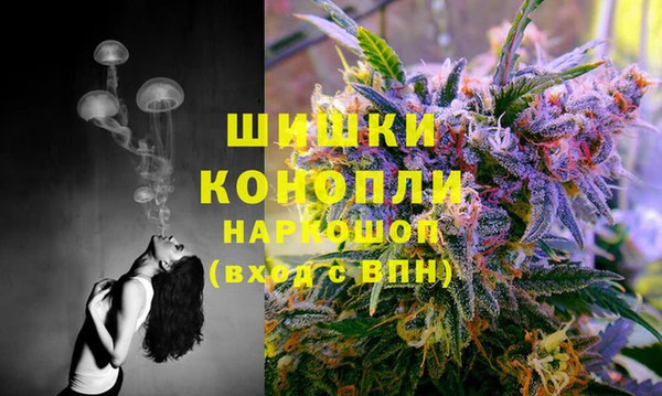 PSILOCYBIN Новокубанск