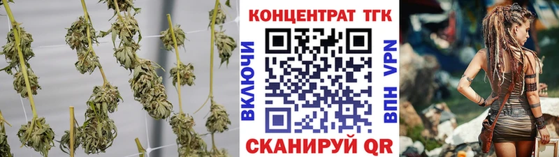 Купить где Нижний Ломов ТГК Wax