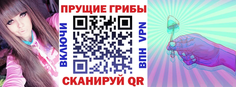 Купить закладки  Нижний Ломов  Псилоцибиновые грибы Cubensis 